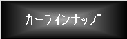 カーラインナップ