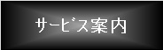 サービス案内