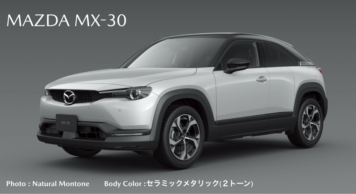 Photo : Natural Montone　　Body Color :セラミックメタリック(２トーン)