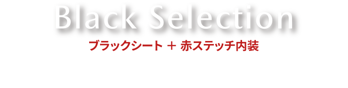 Black Selection　ブラックシート＋赤ステッチ内装
